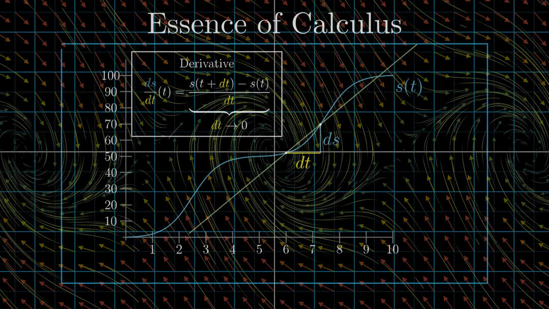 Grafik zum Thema Differentialgleichung (Foto: Screenshot)