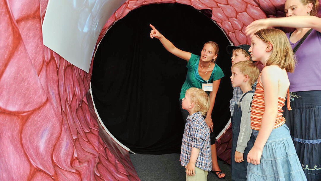 Wissenschaft interaktiv (Foto: David Ausserhofer)