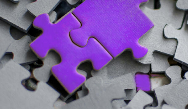 Puzzle (Symbolbild) (Foto: Tanja Tepavac/Unsplash)