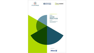 Entrepreneurial Skills: Good Practices (Cover der Publikation)