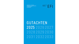 EFI-Jahresgutachten 2025 (Cover)