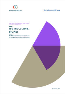 It's The Culture, Stupid! (Cover)