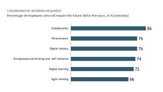 Which skills are lacking in Germany
